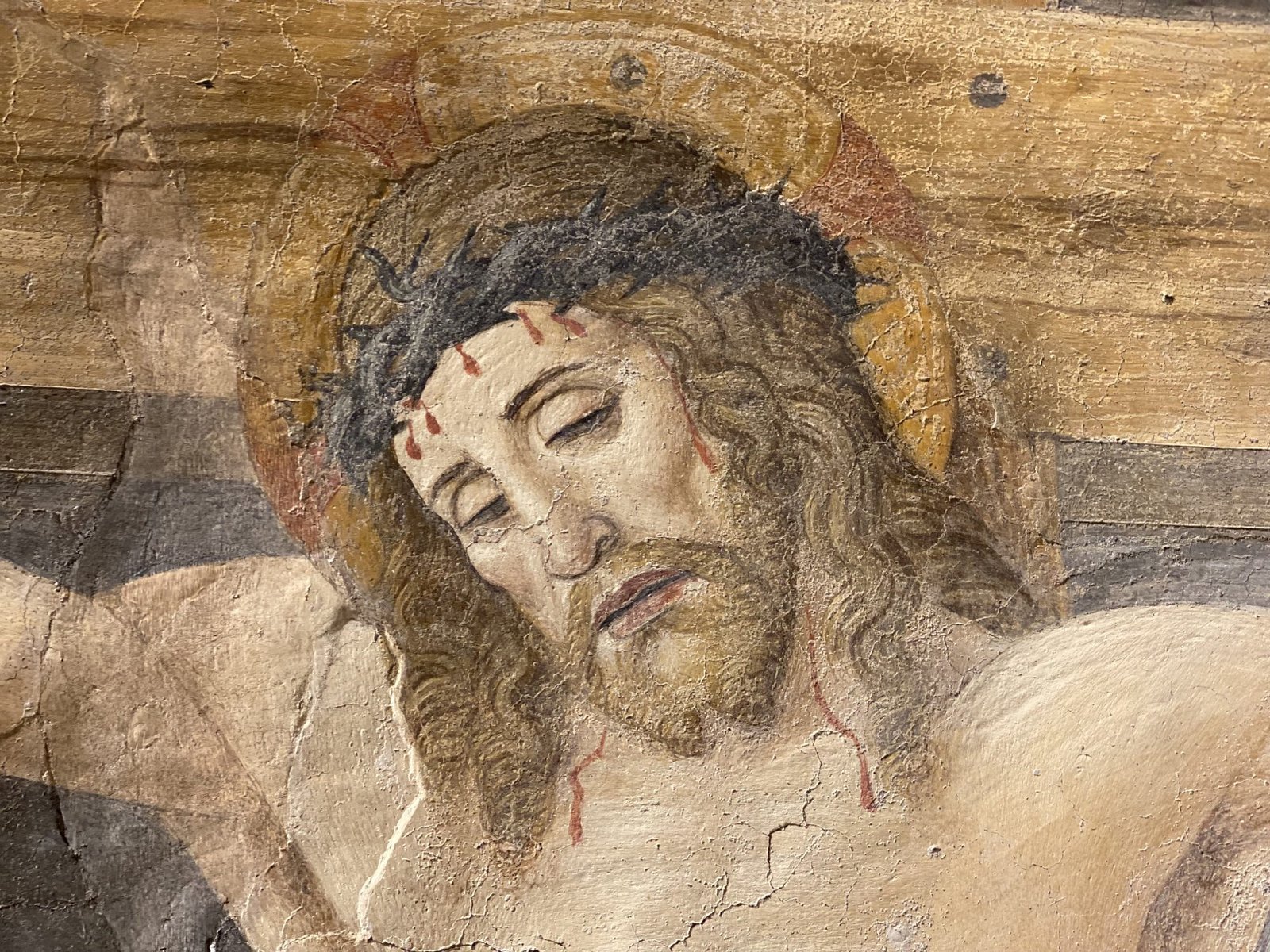 Dipinto Crocifissione Santa Maria delle Grazie - Milano – 20
